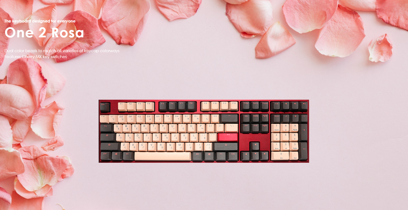 Giới thiệu jBàn phím cơ Ducky One Rosa 2021 (Fullsize/USB/PBT/Cherry Brown switch)